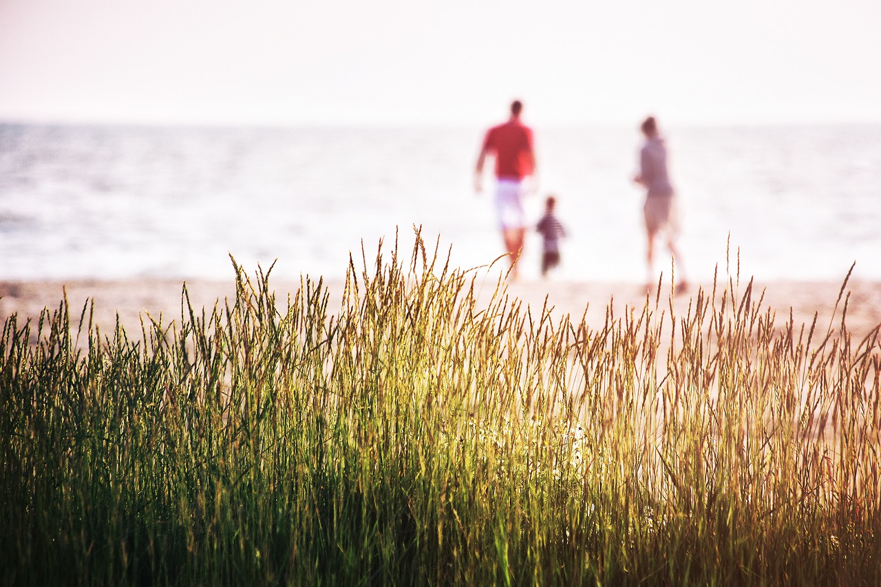 Picture of a family on a beach
